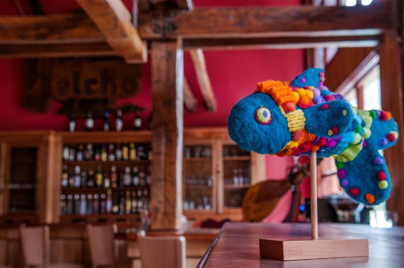 ホテルYelcho En La Patagonia コイハイケ エクステリア 写真