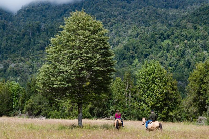 ホテルYelcho En La Patagonia コイハイケ エクステリア 写真